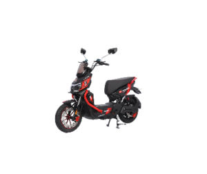 Raptor Max EB-17